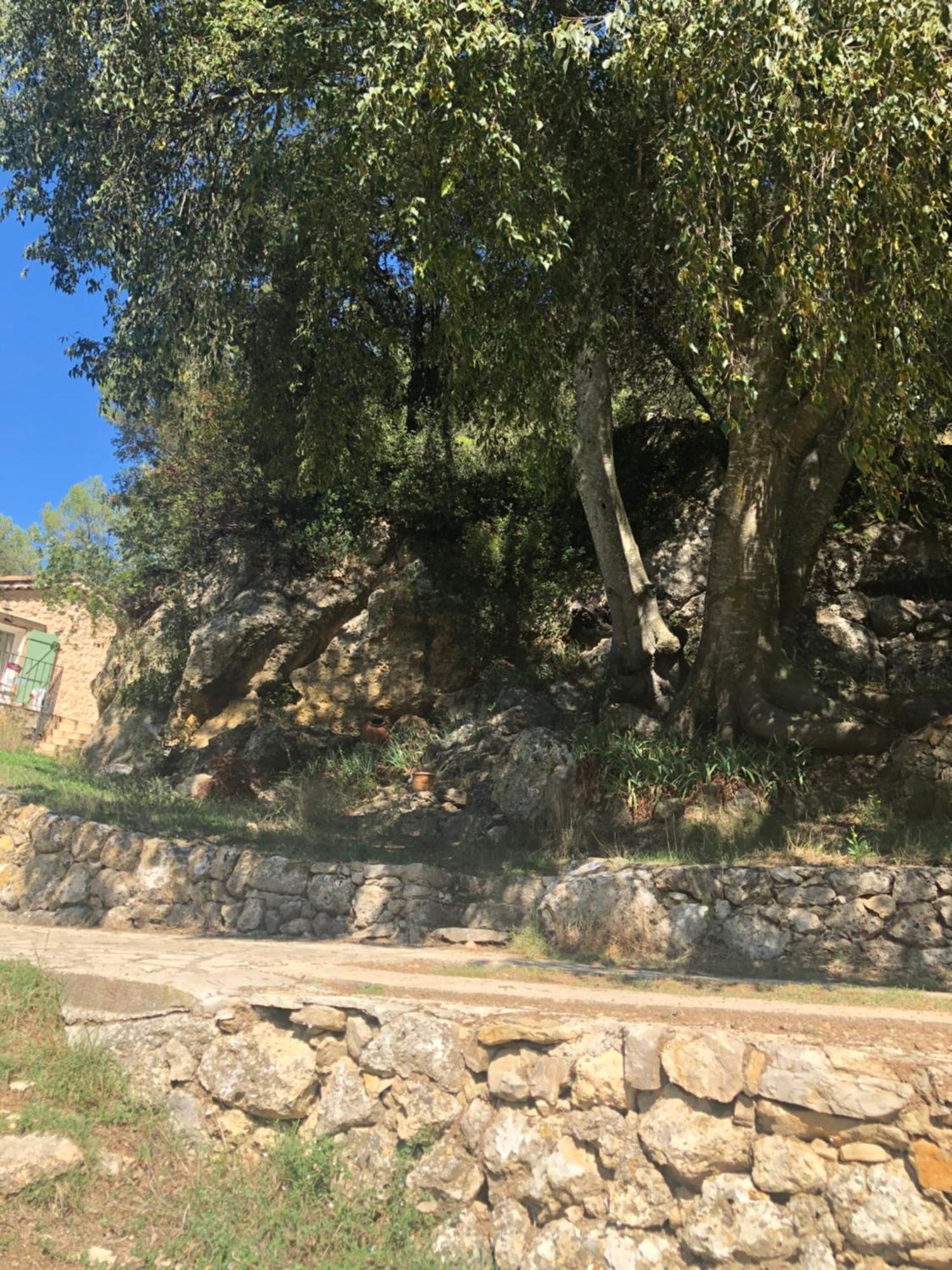 L'Olivier Fleurie Barjols Villa Exterior photo